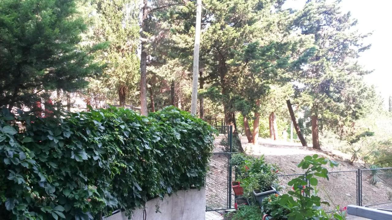 Anamarija Apartman Dubrovnik Exterior foto
